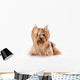 Yorkshire Terrier Yorkie Wall Decal