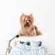 Yorkshire Terrier Yorkie Wall Decal