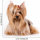 Yorkshire Terrier Yorkie Wall Decal