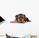 Yorkshire Terrier Yorkie Puppy Wall Decal