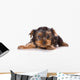 Yorkshire Terrier Yorkie Puppy Wall Decal