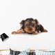 Yorkshire Terrier Yorkie Puppy Wall Decal