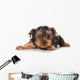 Yorkshire Terrier Yorkie Puppy Wall Decal