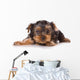 Yorkshire Terrier Yorkie Puppy Wall Decal