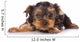 Yorkshire Terrier Yorkie Puppy Wall Decal