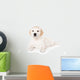 Golden retriever puppy on white background Wall Mural