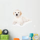 Golden retriever puppy on white background Wall Mural