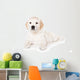 Golden retriever puppy on white background Wall Mural