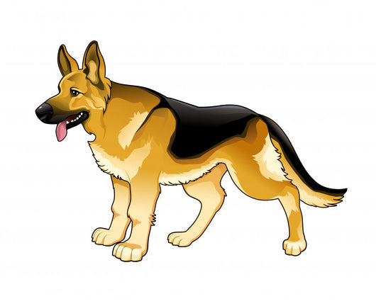 German Shepherd. Wall Decal