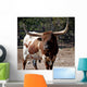Bull With Attitude Wall Mural