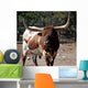Bull With Attitude Wall Mural
