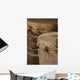 African Tribal Drums Wall Mural