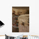 African Tribal Drums Wall Mural