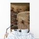 African Tribal Drums Wall Mural