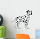 Dalmatian. 