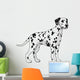 Dalmatian. 