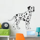 Dalmatian. 