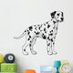 Dalmatian. 