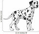 Dalmatian. 