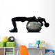 Woman Exercising Fitness Ball Workout 