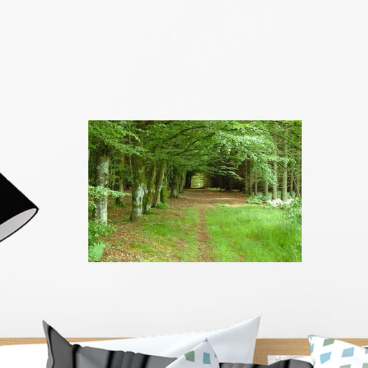 Woodland Walk Wall Decal