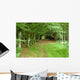 Woodland Walk Wall Decal