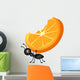 Ant Carrying Orange Slices Wall Decal