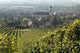 Vignoble Marlenheim En Alsace Wall Decal Design 3