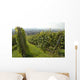 Vignoble Marlenheim En Alsace Wall Decal Design 2