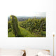 Vignoble Marlenheim En Alsace Wall Decal Design 2