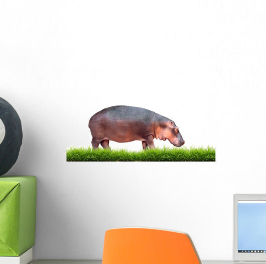 Hippopotamus With Green Grass Isolated 