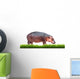 Hippopotamus With Green Grass Isolated 