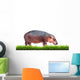Hippopotamus With Green Grass Isolated 