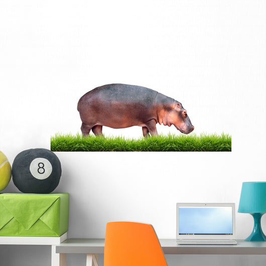 Hippopotamus With Green Grass Isolated 