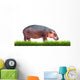 Hippopotamus With Green Grass Isolated 