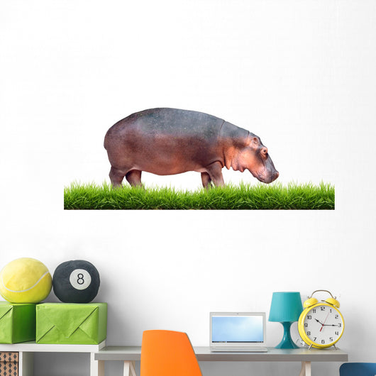 Hippopotamus With Green Grass Isolated 