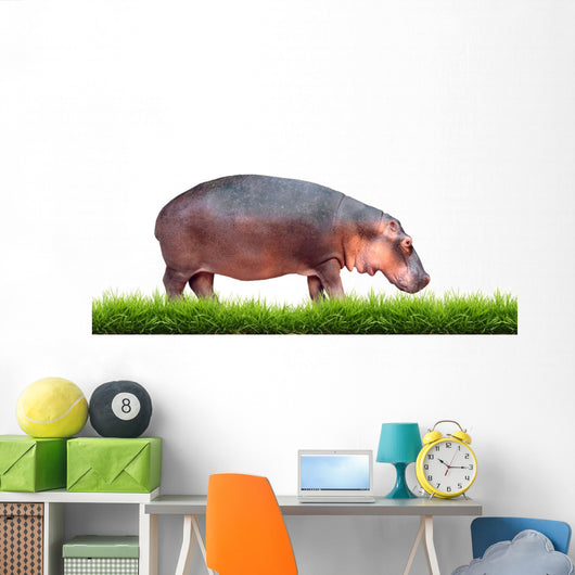 Hippopotamus With Green Grass Isolated 