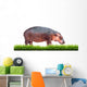 Hippopotamus With Green Grass Isolated 