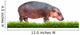 Hippopotamus With Green Grass Isolated 