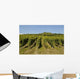 Vineyards Alsace Marlenheim Wall Decal