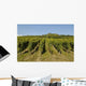 Vineyards Alsace Marlenheim Wall Decal