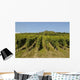 Vineyards Alsace Marlenheim Wall Decal