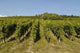 Vineyards Alsace Marlenheim Wall Decal