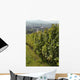 Vignoble Marlenheim En Alsace Wall Decal Design 1