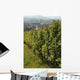 Vignoble Marlenheim En Alsace Wall Decal Design 1