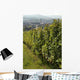 Vignoble Marlenheim En Alsace Wall Decal Design 1