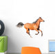 chestnut arab horse isolated on white Wall Decal