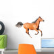 chestnut arab horse isolated on white Wall Decal