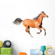 chestnut arab horse isolated on white Wall Decal