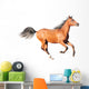 chestnut arab horse isolated on white Wall Decal